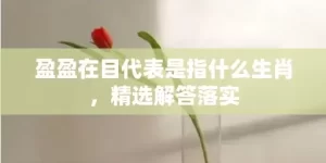 盈盈在目代表是指什么生肖，精选解答落实