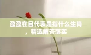 盈盈在目代表是指什么生肖，精选解答落实