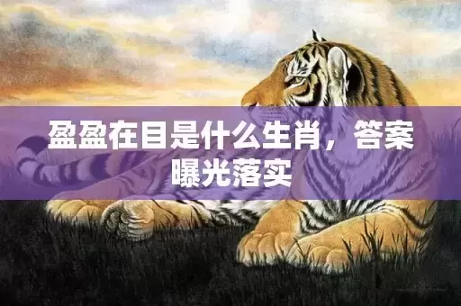 盈盈在目是什么生肖，答案曝光落实