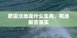 肥田沃地是什么生肖，精选解答落实