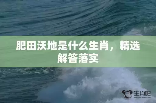 肥田沃地是什么生肖，精选解答落实