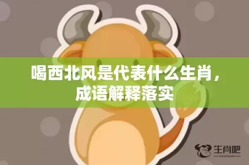 喝西北风是代表什么生肖，成语解释落实