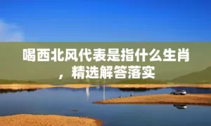 喝西北风代表是指什么生肖，精选解答落实