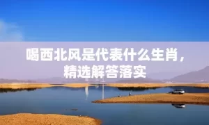 喝西北风是代表什么生肖，精选解答落实