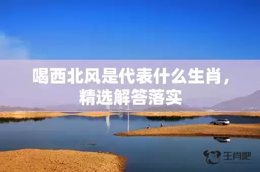 喝西北风是代表什么生肖，精选解答落实