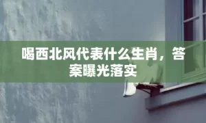 喝西北风代表什么生肖，答案曝光落实