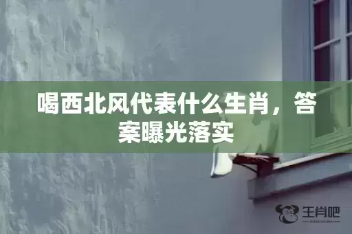 喝西北风代表什么生肖，答案曝光落实