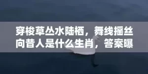 穿梭草丛水陆栖，舞线摇丝向昔人是什么生肖，答案曝光落实