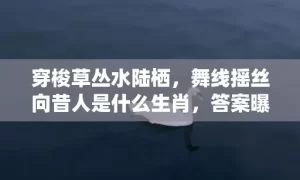 穿梭草丛水陆栖，舞线摇丝向昔人是什么生肖，答案曝光落实