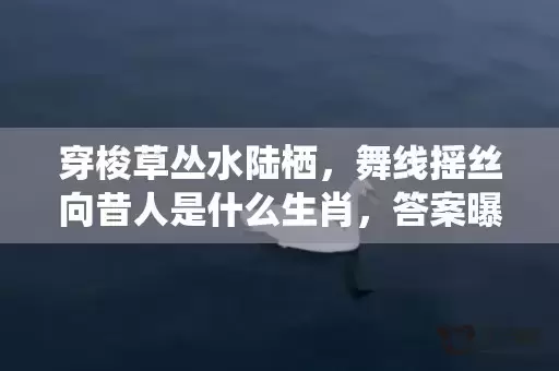穿梭草丛水陆栖，舞线摇丝向昔人是什么生肖，答案曝光落实