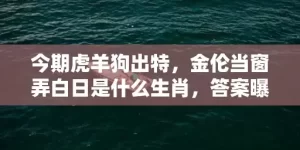 今期虎羊狗出特，金伦当窗弄白日是什么生肖，答案曝光落实