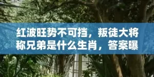 红波旺势不可挡，叛徒大将称兄弟是什么生肖，答案曝光落实