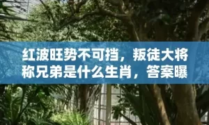 红波旺势不可挡，叛徒大将称兄弟是什么生肖，答案曝光落实