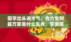 田字出头讲才气，合六生财益万家是什么生肖，答案曝光落实