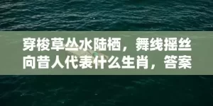 穿梭草丛水陆栖，舞线摇丝向昔人代表什么生肖，答案曝光落实