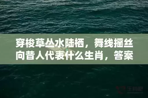穿梭草丛水陆栖，舞线摇丝向昔人代表什么生肖，答案曝光落实