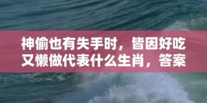 神偷也有失手时，皆因好吃又懒做代表什么生肖，答案曝光落实