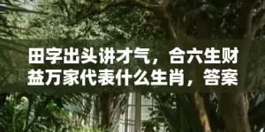 田字出头讲才气，合六生财益万家代表什么生肖，答案曝光落实