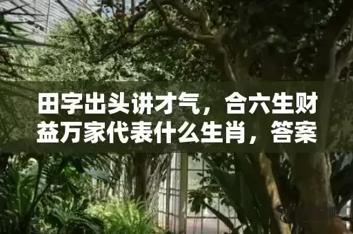 田字出头讲才气,合六生财益万家代表什么生肖,答案曝光落实 田字出头讲才气,合六生财益万家代表什么生肖,答案曝光落实