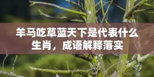 羊马吃草蓝天下是代表什么生肖，成语解释落实