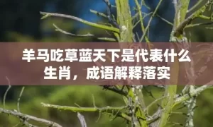 羊马吃草蓝天下是代表什么生肖，成语解释落实