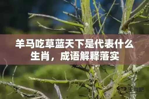 羊马吃草蓝天下是代表什么生肖,成语解释落实 羊马吃草蓝天下是代表什么生肖,成语解释落实