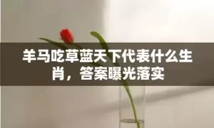 羊马吃草蓝天下代表什么生肖，答案曝光落实