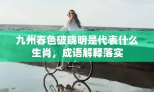 九州春色破晓明是代表什么生肖，成语解释落实