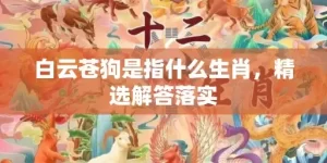 白云苍狗是指什么生肖，精选解答落实