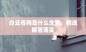 白云苍狗是什么生肖，精选解答落实