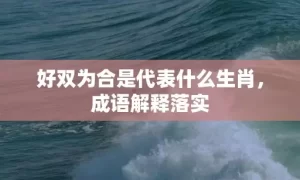 好双为合是代表什么生肖,成语解释落实缩略图 好双为合是代表什么生肖,成语解释落实