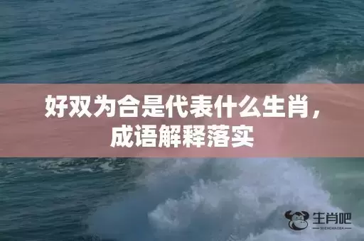 好双为合是代表什么生肖，成语解释落实