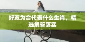 好双为合代表什么生肖，精选解答落实