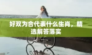 好双为合代表什么生肖，精选解答落实