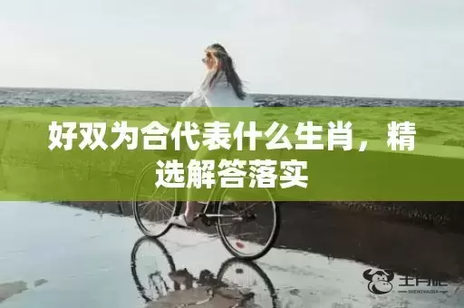 好双为合代表什么生肖，精选解答落实