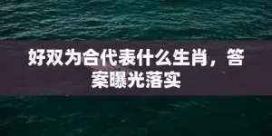 好双为合代表什么生肖，答案曝光落实