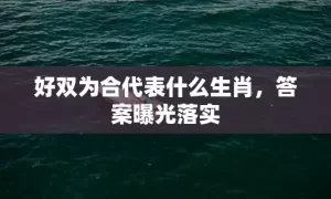 好双为合代表什么生肖，答案曝光落实