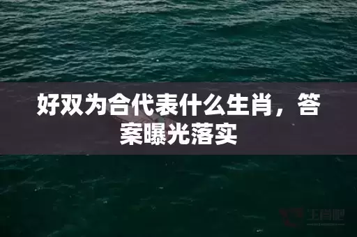 好双为合代表什么生肖，答案曝光落实