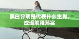 黑白分明是代表什么生肖，成语解释落实