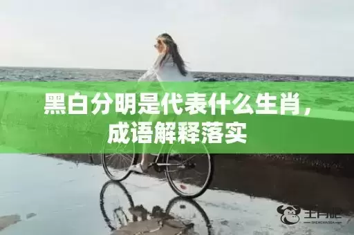 黑白分明是代表什么生肖,成语解释落实 黑白分明是代表什么生肖,成语解释落实