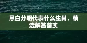 黑白分明代表什么生肖，精选解答落实