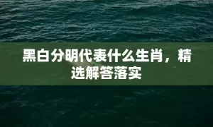 黑白分明代表什么生肖，精选解答落实