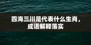 四海三川是代表什么生肖，成语解释落实