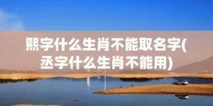 熙字什么生肖不能取名字(丞字什么生肖不能用)