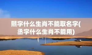 熙字什么生肖不能取名字(丞字什么生肖不能用)