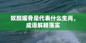 奴颜媚骨是代表什么生肖，成语解释落实