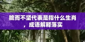 脆而不坚代表是指什么生肖，成语解释落实