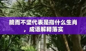 脆而不坚代表是指什么生肖，成语解释落实