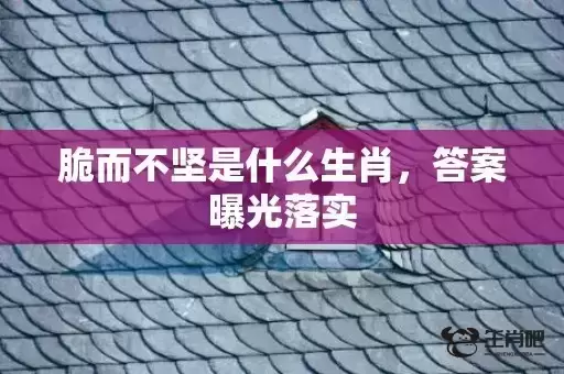 脆而不坚是什么生肖,答案曝光落实 脆而不坚是什么生肖,答案曝光落实