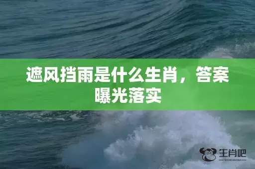 遮风挡雨是什么生肖，答案曝光落实